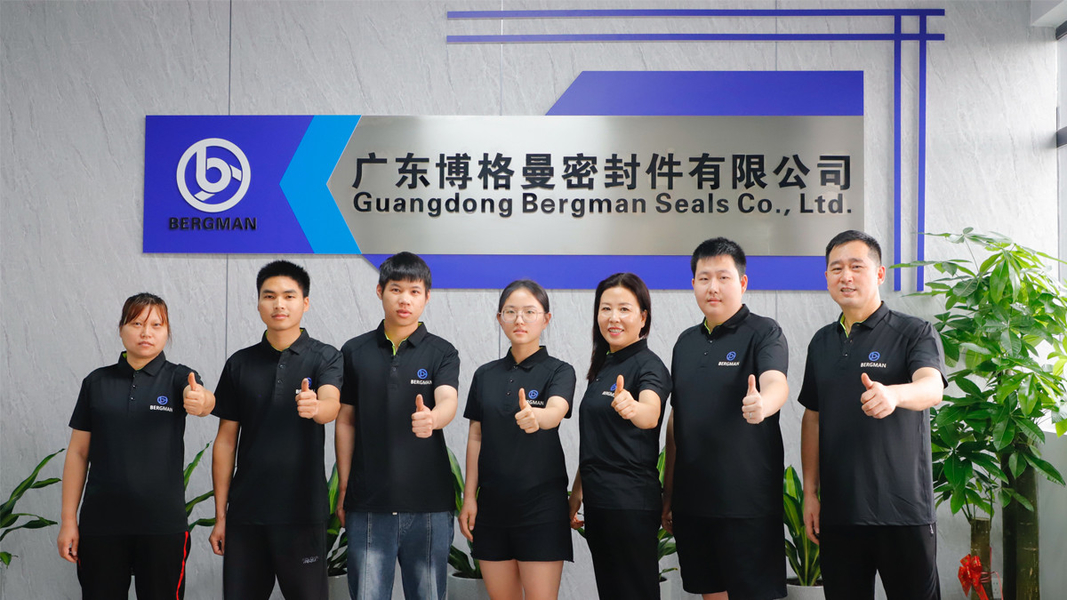 Κίνα Guangzhou Bogeman Mechanical Seal Co., Ltd. Εταιρικό Προφίλ