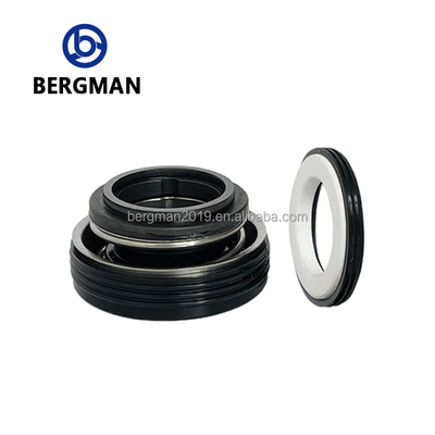 ΜΕΡΓΜΑΝ FT σειρά Μηχανική σφραγίδα 12-30mm για περιστρεφόμενες αντλίες