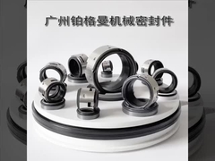 John Crane 502 αντλία νερού Μηχανική σφραγίδα 100mm Για βιομηχανικές αντλίες