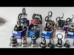 EA560D Burgmann αντλία Μηχανική σφραγίδα WQ υποβρύχιο ανισορροπία